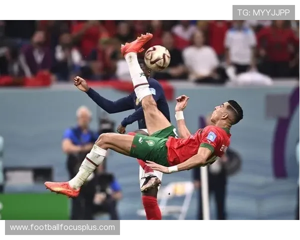 世界杯历史数据揭秘各国夺冠规律与精彩瞬间盘点