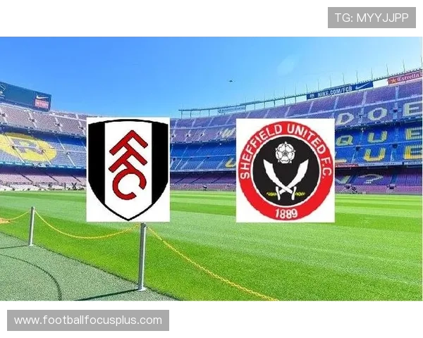 北京足球联赛最新球队排名全面解析与赛季表现点评