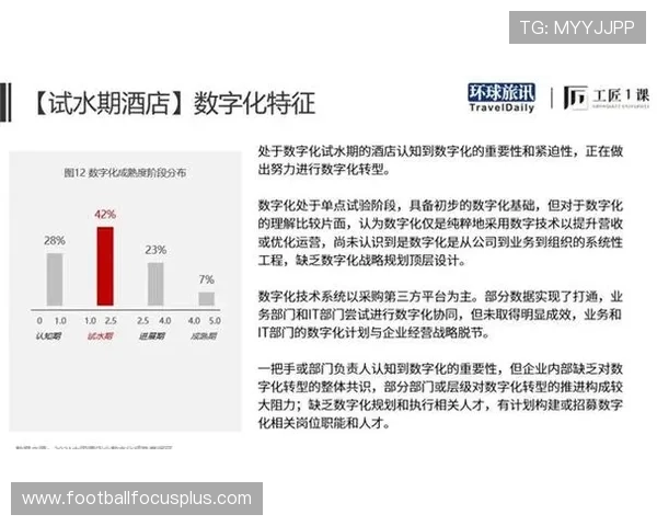 西班牙人俱乐部崛起之路：从辉煌历史到现代化挑战的转型之旅
