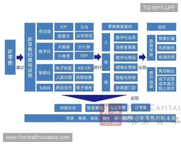 罗马最新政策动态及城市发展趋势全面解读